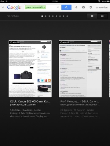 Suchergebnisse als Bilderkarussell in der Google Search App (Bild: Google/Golem.de)
